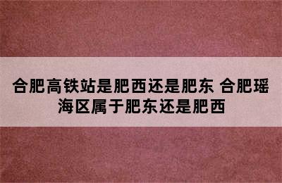 合肥高铁站是肥西还是肥东 合肥瑶海区属于肥东还是肥西